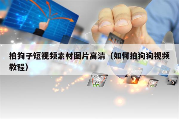 拍狗子短视频素材图片高清（如何拍狗狗视频教程）