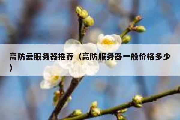 高防云服务器推荐（高防服务器一般价格多少）