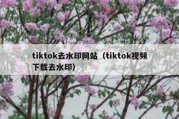 tiktok去水印网站（tiktok视频下载去水印）