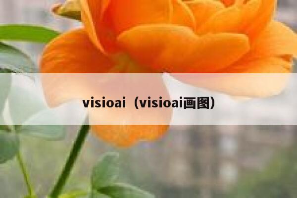 visioai（visioai画图）