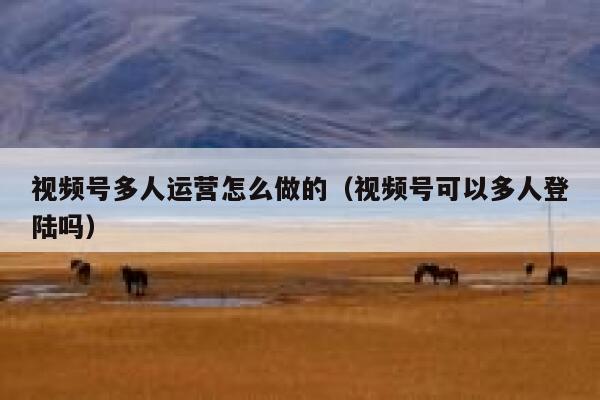 视频号多人运营怎么做的（视频号可以多人登陆吗）