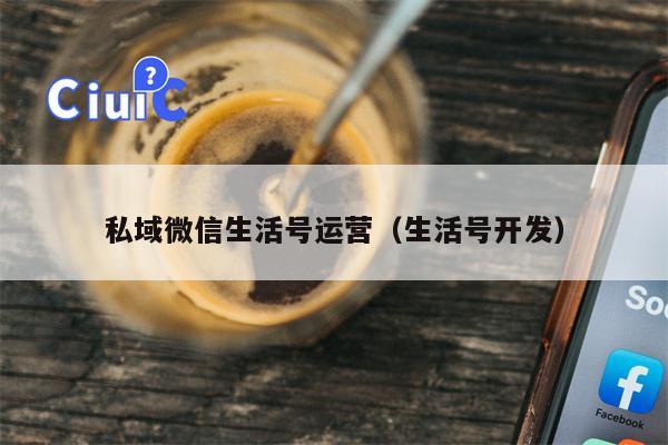 私域微信生活号运营（生活号开发）