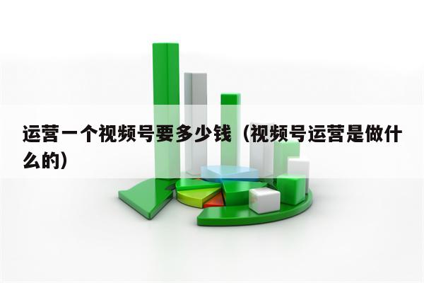 运营一个视频号要多少钱（视频号运营是做什么的）