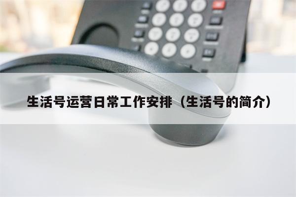 生活号运营日常工作安排（生活号的简介）