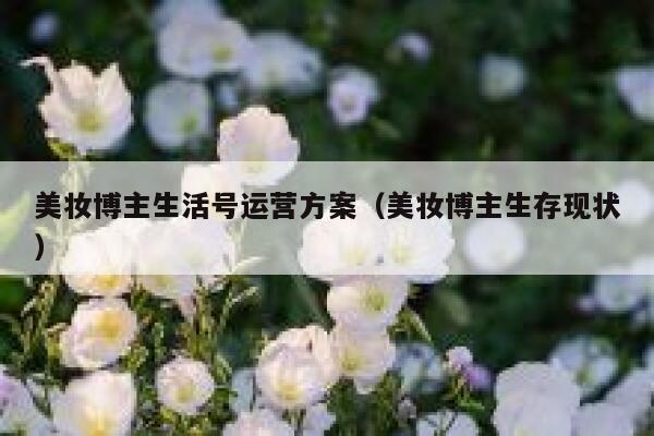 美妆博主生活号运营方案（美妆博主生存现状）