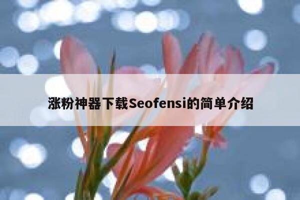 涨粉神器下载Seofensi的简单介绍