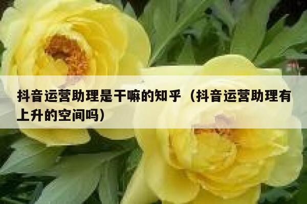 抖音运营助理是干嘛的知乎（抖音运营助理有上升的空间吗）