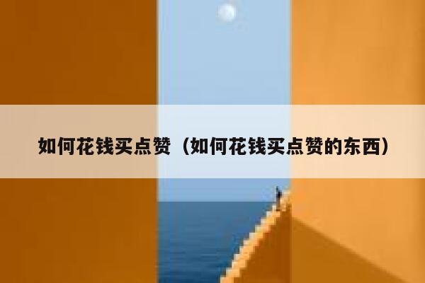 如何花钱买点赞（如何花钱买点赞的东西）
