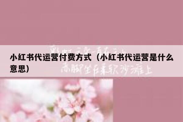 小红书代运营付费方式（小红书代运营是什么意思）