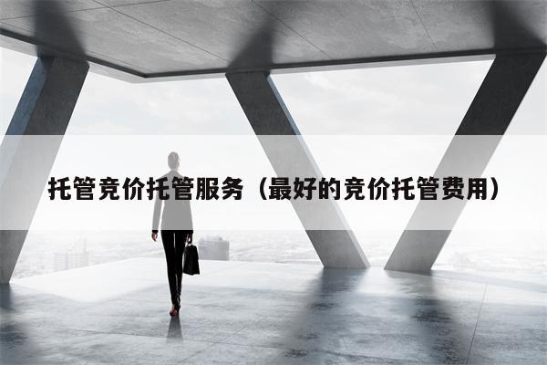托管竞价托管服务（最好的竞价托管费用）