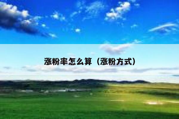 涨粉率怎么算（涨粉方式）