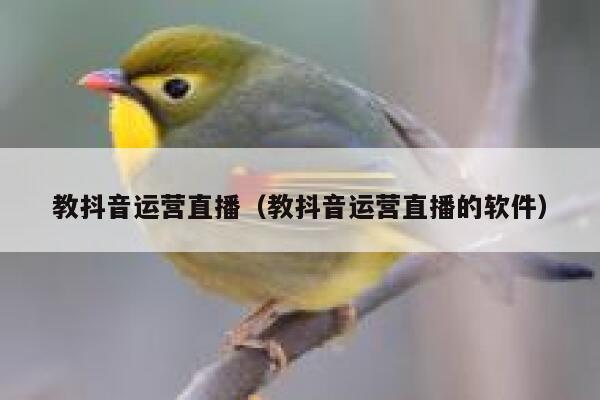 教抖音运营直播（教抖音运营直播的软件）