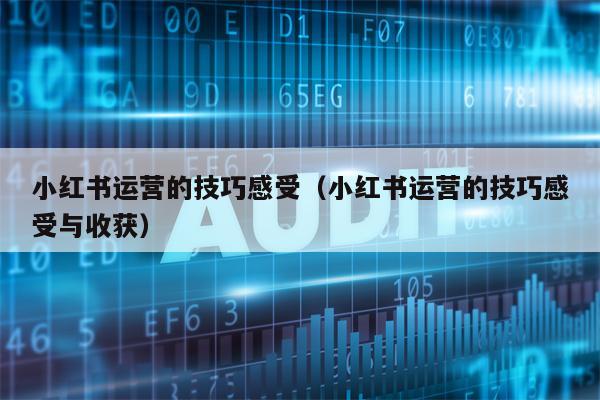 小红书运营的技巧感受（小红书运营的技巧感受与收获）