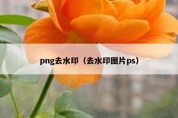 png去水印（去水印图片ps）