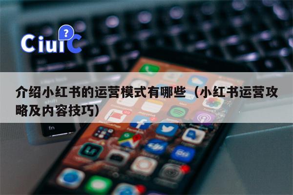 介绍小红书的运营模式有哪些（小红书运营攻略及内容技巧）