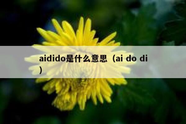 aidido是什么意思（ai do di）
