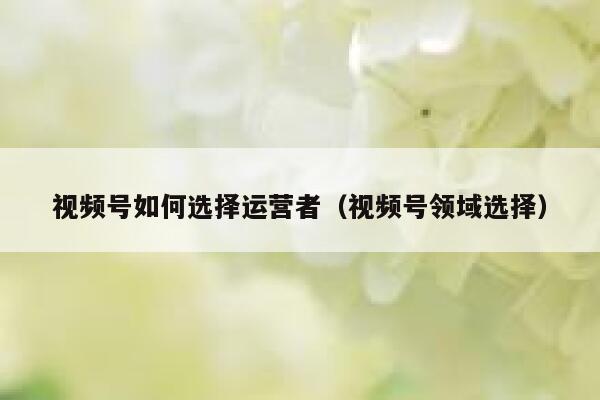 视频号如何选择运营者（视频号领域选择）