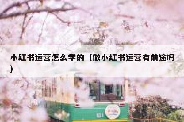 小红书运营怎么学的（做小红书运营有前途吗）