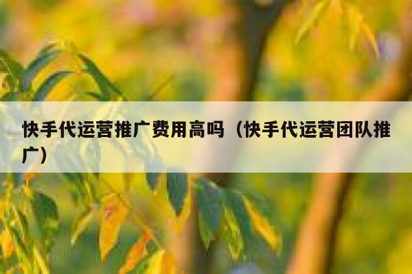 快手代运营推广费用高吗（快手代运营团队推广）