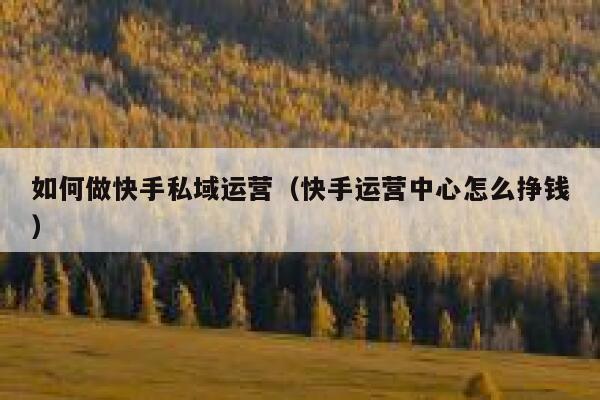 如何做快手私域运营（快手运营中心怎么挣钱）