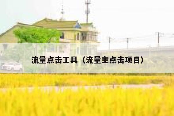 流量点击工具（流量主点击项目）