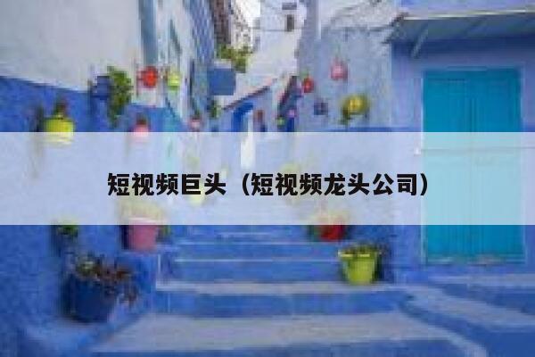短视频巨头（短视频龙头公司）