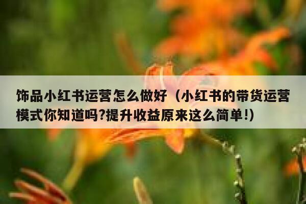饰品小红书运营怎么做好（小红书的带货运营模式你知道吗?提升收益原来这么简单!）