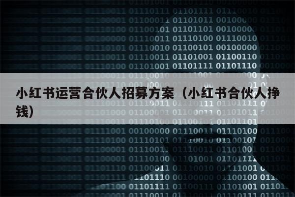 小红书运营合伙人招募方案（小红书合伙人挣钱）