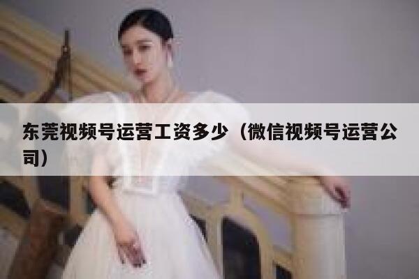 东莞视频号运营工资多少（微信视频号运营公司）