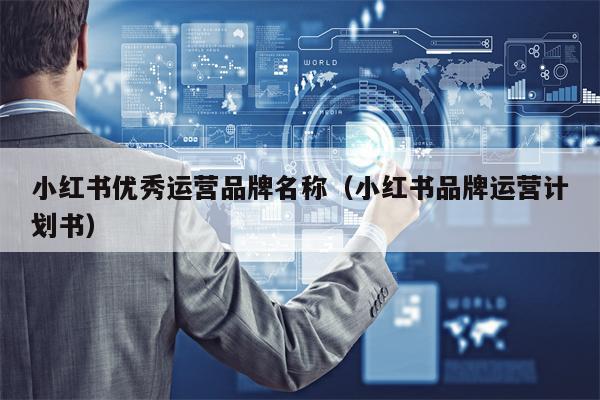 小红书优秀运营品牌名称（小红书品牌运营计划书）