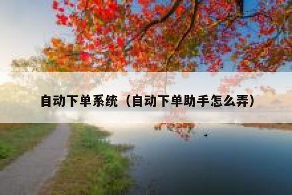 自动下单系统（自动下单助手怎么弄）