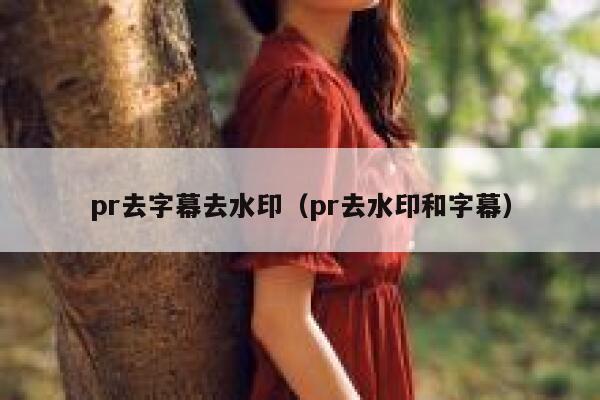 pr去字幕去水印（pr去水印和字幕）