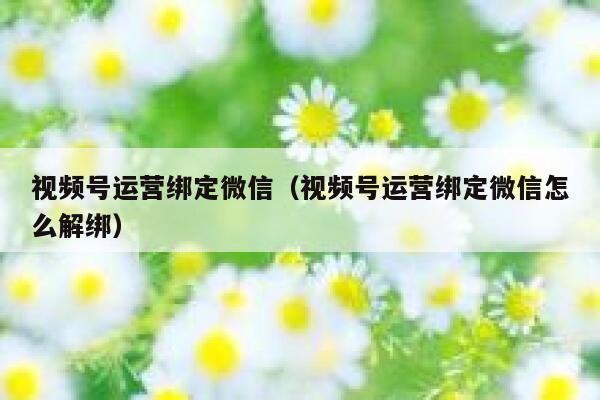 视频号运营绑定微信（视频号运营绑定微信怎么解绑）