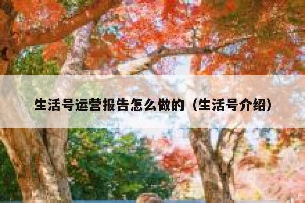 生活号运营报告怎么做的（生活号介绍）