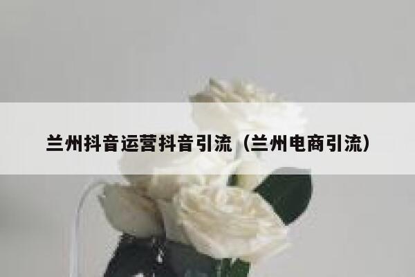兰州抖音运营抖音引流（兰州电商引流）