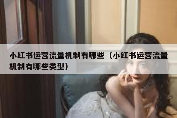 小红书运营流量机制有哪些（小红书运营流量机制有哪些类型）