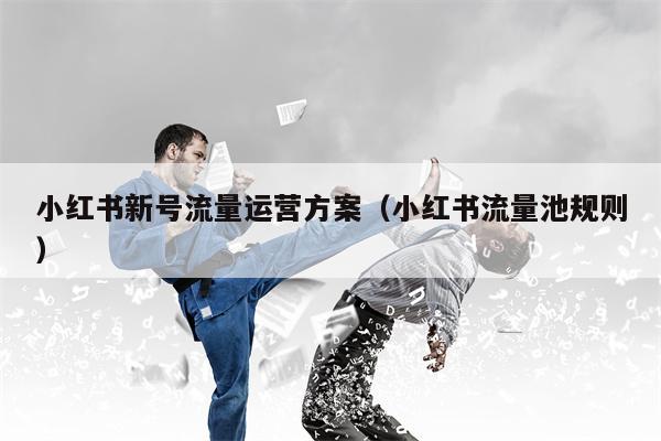 小红书新号流量运营方案（小红书流量池规则）