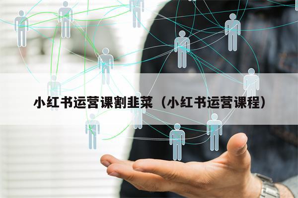小红书运营课割韭菜（小红书运营课程）