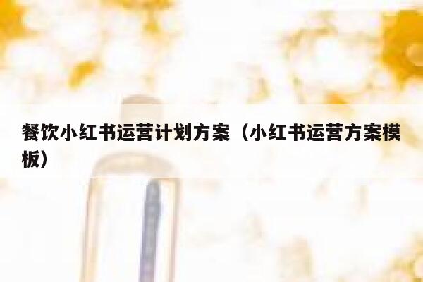 餐饮小红书运营计划方案（小红书运营方案模板）