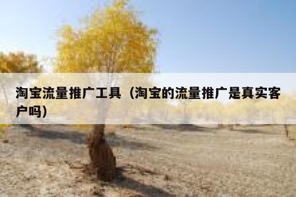 淘宝流量推广工具（淘宝的流量推广是真实客户吗）