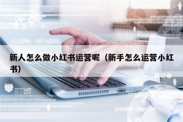 新人怎么做小红书运营呢（新手怎么运营小红书）