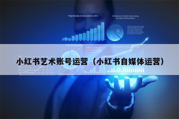 小红书艺术账号运营（小红书自媒体运营）