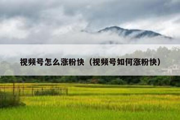 视频号怎么涨粉快（视频号如何涨粉快）