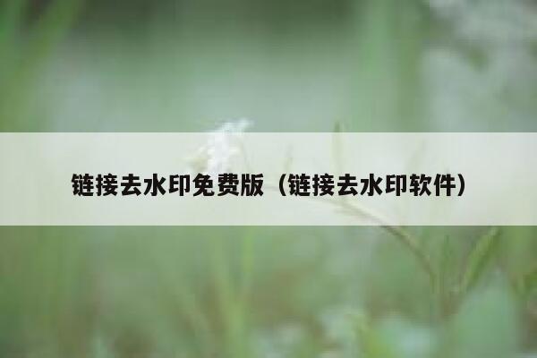 链接去水印免费版（链接去水印软件）