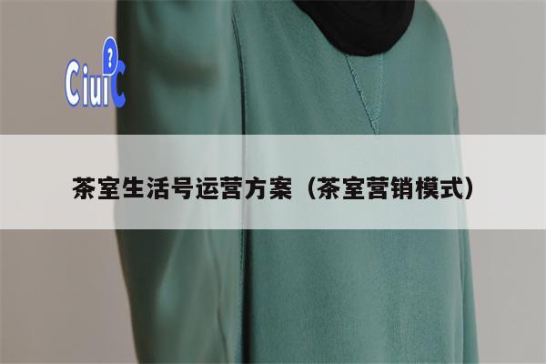 茶室生活号运营方案（茶室营销模式）
