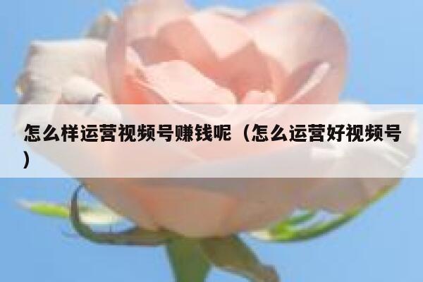 怎么样运营视频号赚钱呢（怎么运营好视频号）