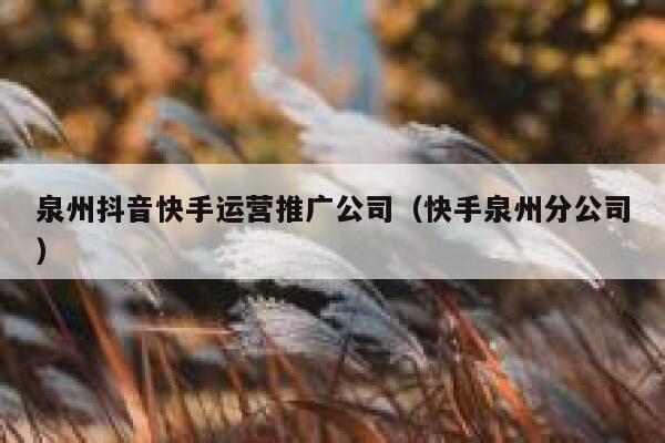 泉州抖音快手运营推广公司（快手泉州分公司）