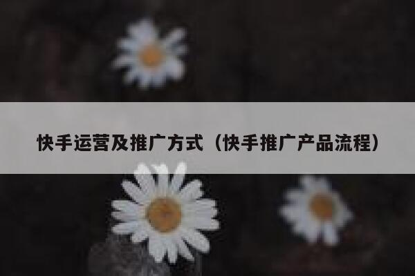 快手运营及推广方式（快手推广产品流程）
