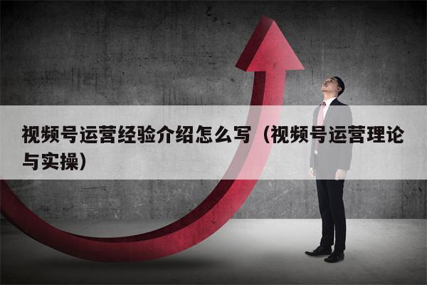 视频号运营经验介绍怎么写（视频号运营理论与实操）
