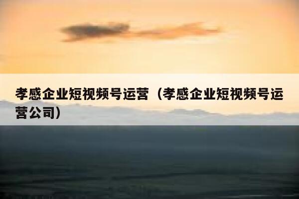 孝感企业短视频号运营（孝感企业短视频号运营公司）
